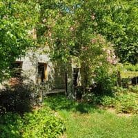 Visite commentée d'un jardin forêt