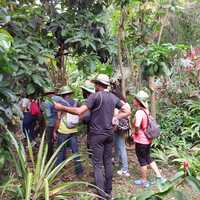 Jardin de Paulo : visites guidées